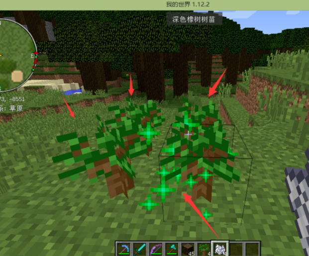 我的世界深色橡木树苗获得方法图1