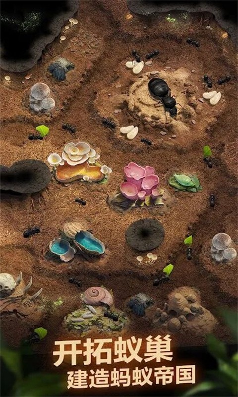 荒野蚂蚁模拟 V1.0 安卓版