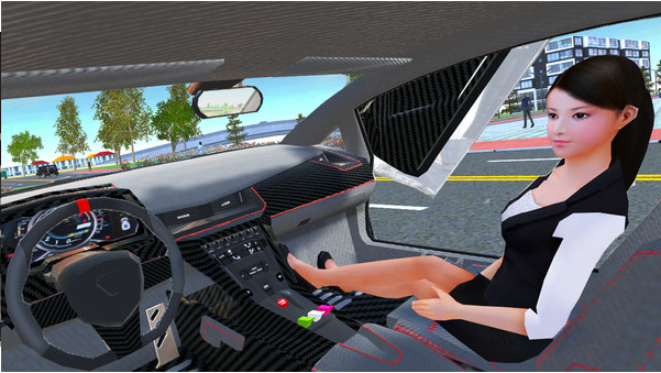 汽车驾驶模拟器 V1.1 欧皇版